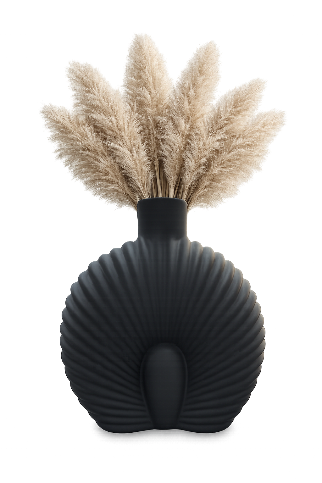 Modern Matte Black Shell Vase with Pampas Grass | Decorative Flower Vase for Home Décor