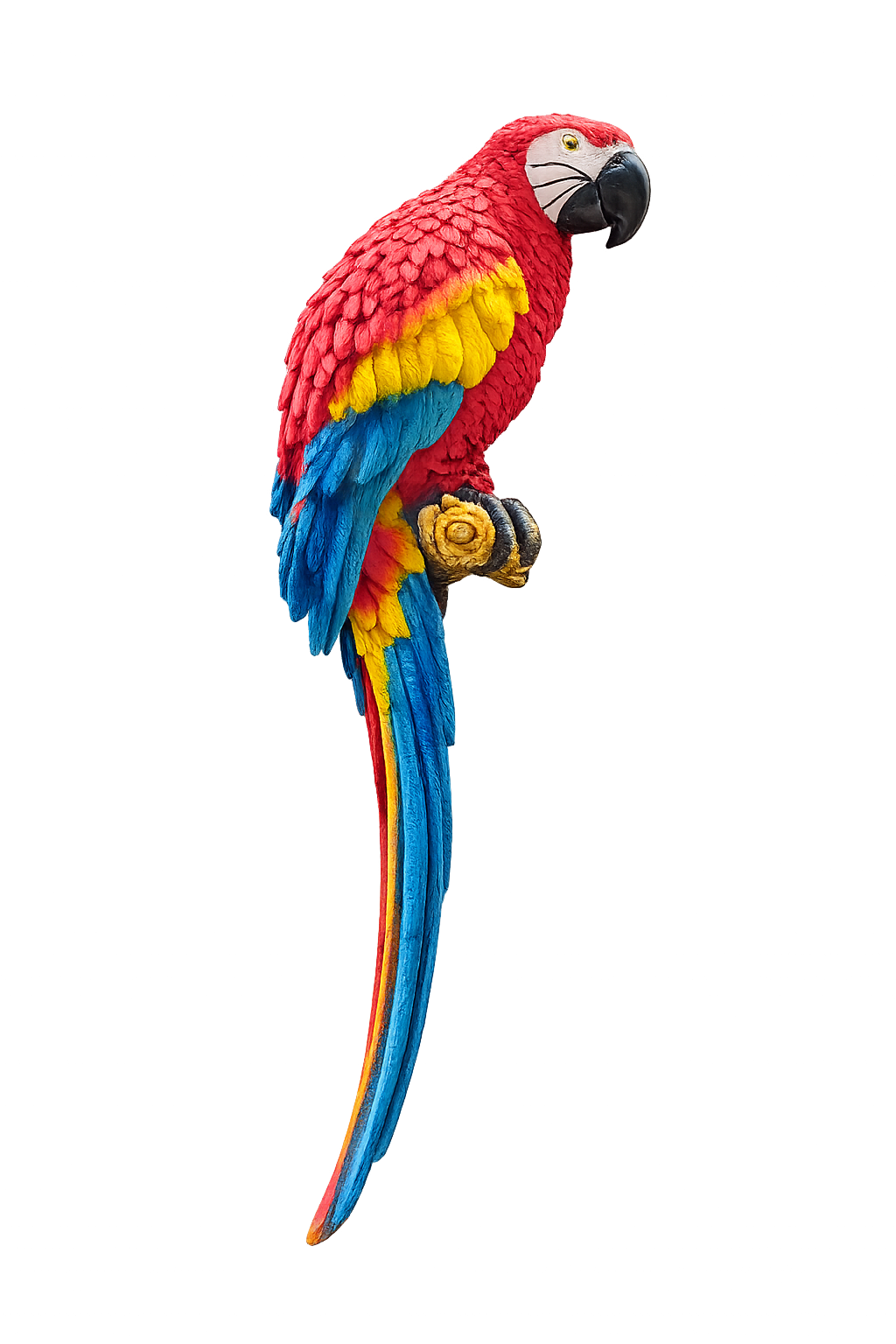 Colorful Macaw Parrot Wall Sculpture – Hand-Painted Resin Wall Décor for Living Room & Office